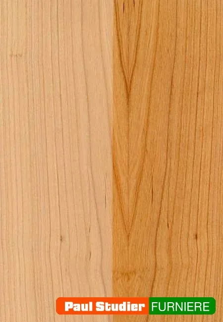 Furnierbild Kirsche (Europäisch) – Der Splint ist schmal und gelblich