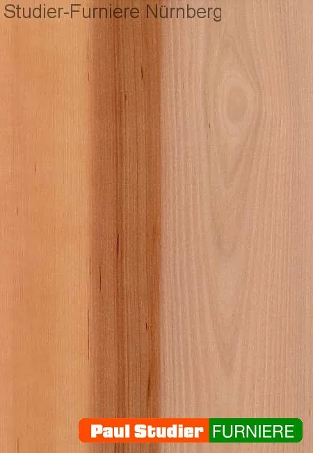 Furnierbild Apfelbaum – Rötlichbraun mit warmen Farbzonen