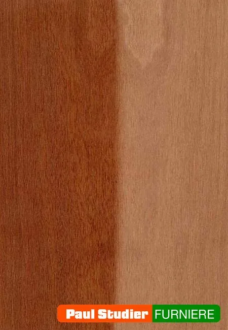 Furnierbild Macoré – Der Splint ist schmal, gelblich bis hellbraun, teilweise graurosa