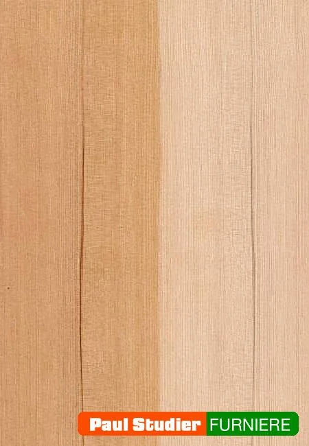 Furnierbild Hemlock – Heller und gelblich-goldener Grundton
