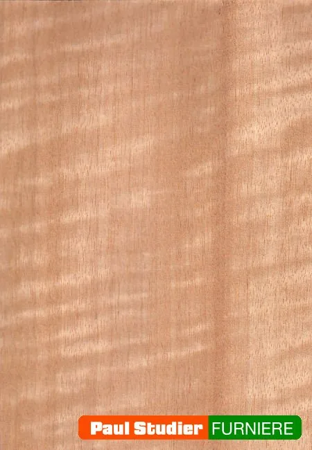 Furnierbild Movingui – Gelblich-goldener und brauner Grundton