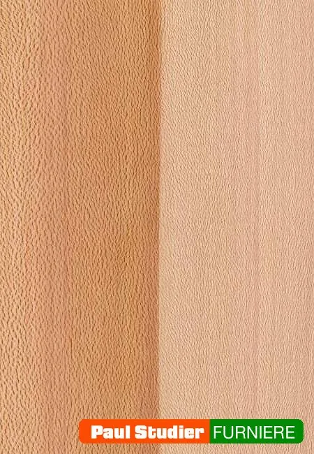Furnierbild Platane – Heller und rötlicher Grundton