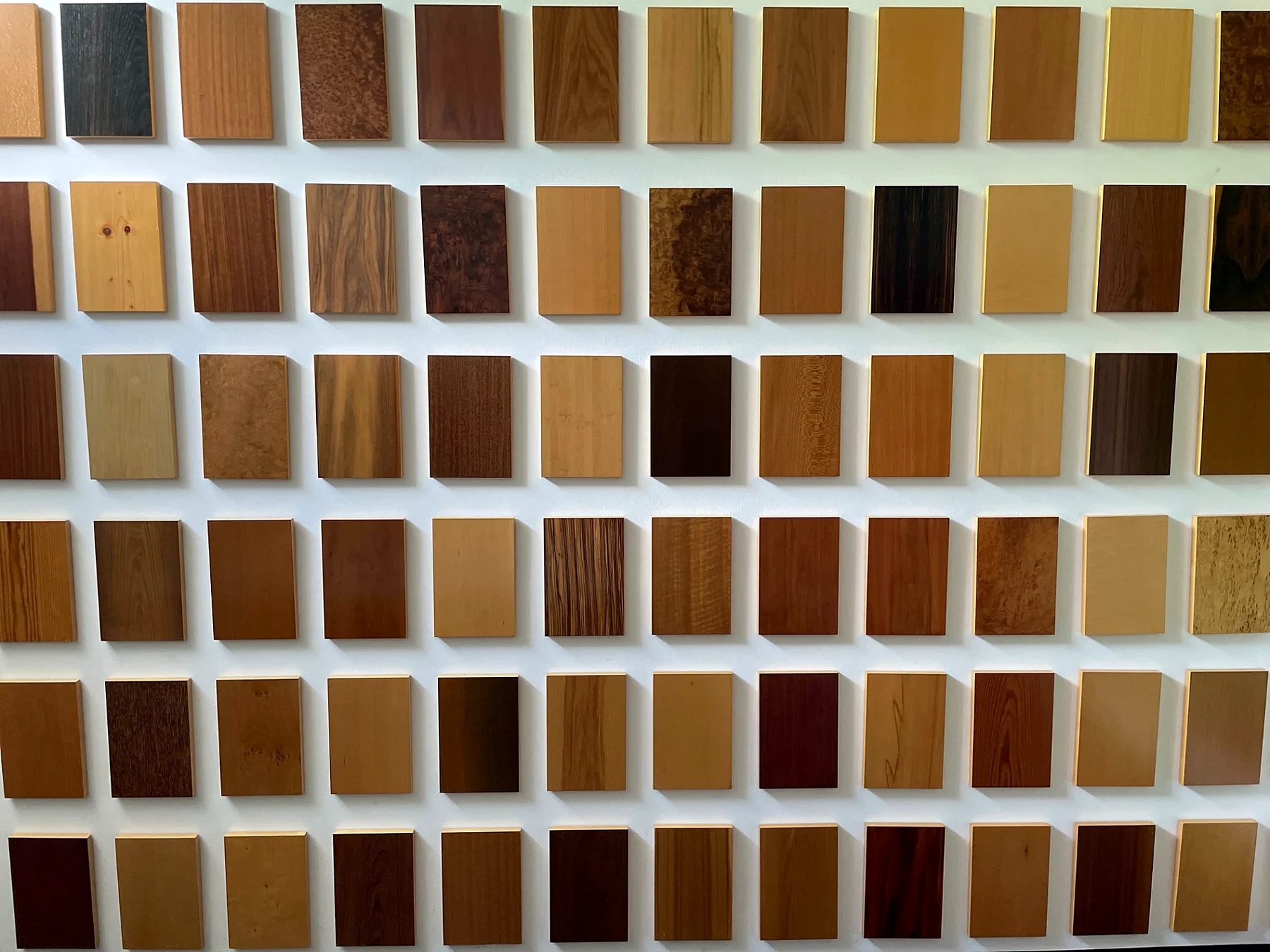 Musterwand mit über hundert Furniermustern verschiedener Holzarten