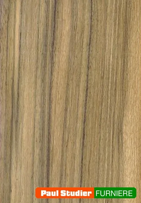 Furnierbild Mutenye – Heller und gelblich-goldener Grundton