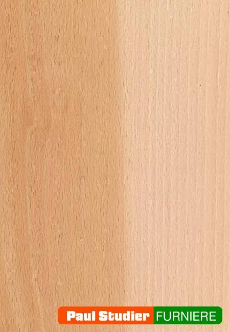 Furnierbild Buche (ungedämpft) – Das Holz ist weißlich, ins Grau gehend