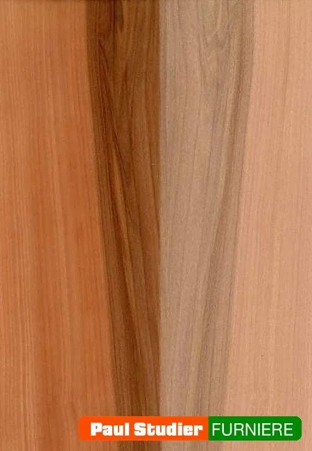 Furnierbild Satin Nussbaum / Red Gum (Schnittholz) – Rötlichbraunes Kernholz, teils dunkel geadert