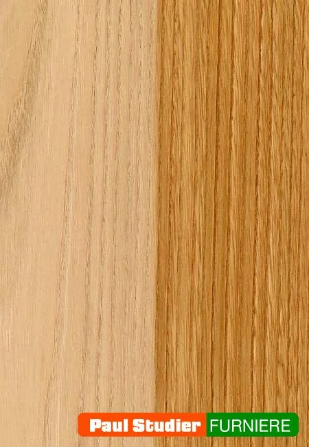 Furnierbild Kastanie – Der Splint ist schmal und weiß-gelblich