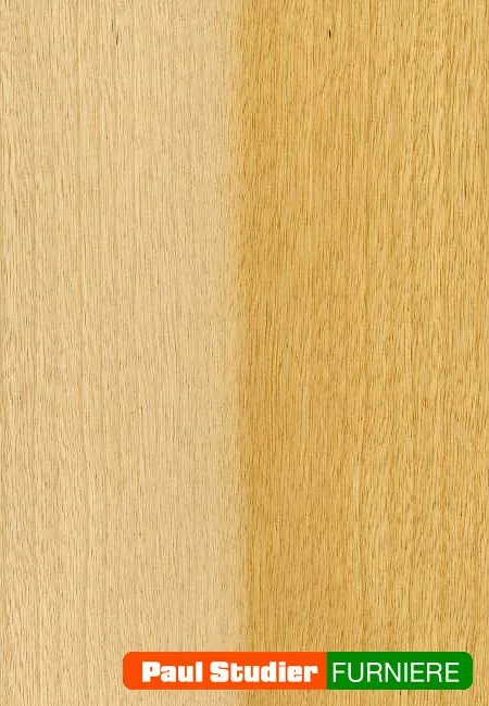 Furnierbild Limba – Gelblich-goldener und brauner Grundton
