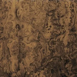Furnierbild Nussbaum Maser (Restschälrollen) – Natürlich gewachsener Farbverlauf