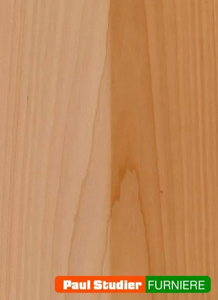 Furnierbild Ahorn (Spitzahorn) – Heller und rötlicher Grundton