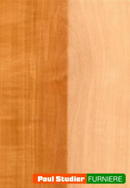 Furnierbild Elsbeere – Rötlicher Grundton