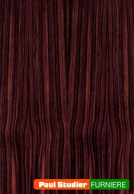 Furnierbild Ebenholz – Das Kernholz ist tief dunkelbraun bis schwarz