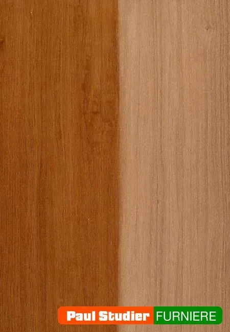 Furnierbild Mansonia – Gelblich-goldener und rötlicher Grundton
