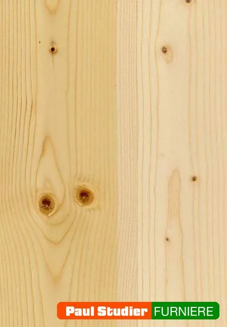 Furnierbild Fichte (Astfichte) – Heller und gelblich-goldener Grundton
