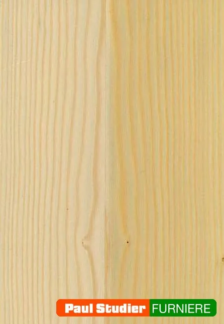 Furnierbild Fichte – Heller und gelblich-goldener Grundton