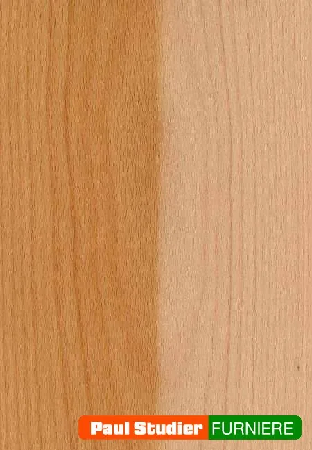 Furnierbild Buche – Das Holz ist weißlich, ins Grau gehend