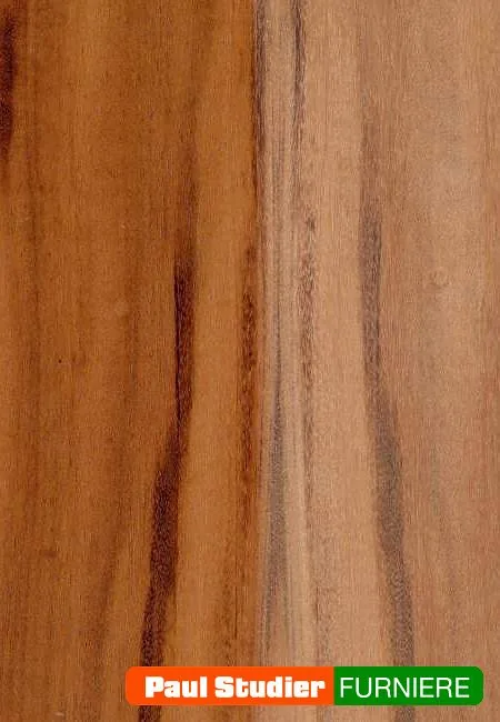 Furnierbild Goncalo Alves / Tigerwood (Schnittholz) – Orange- bis rotbraun mit dunklen Streifen